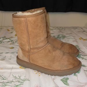 Chestnut Ugg’s